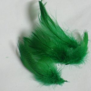 Mallard Flank